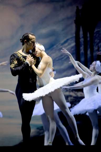 El lago de los Cisnes